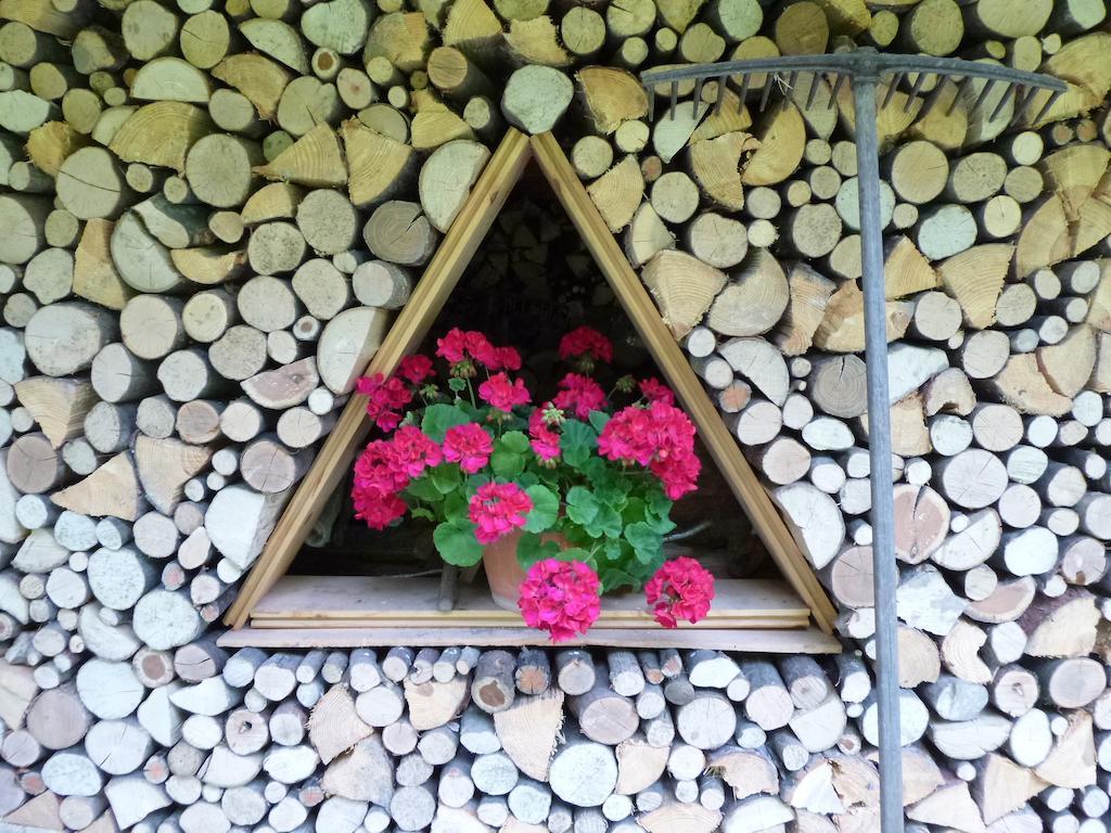 Hotel Park Oasi Арта-Терме Экстерьер фото